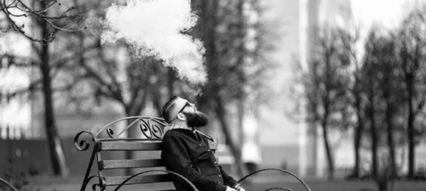 cbd Ratgeber 2025 Sicher kaufen und die beste e-zigarette für cbd Anwender entdecken